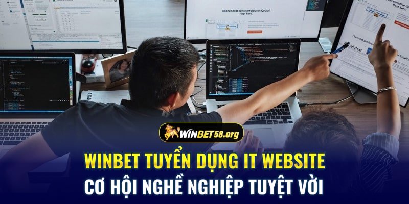 Winbet tuyển dụng IT website